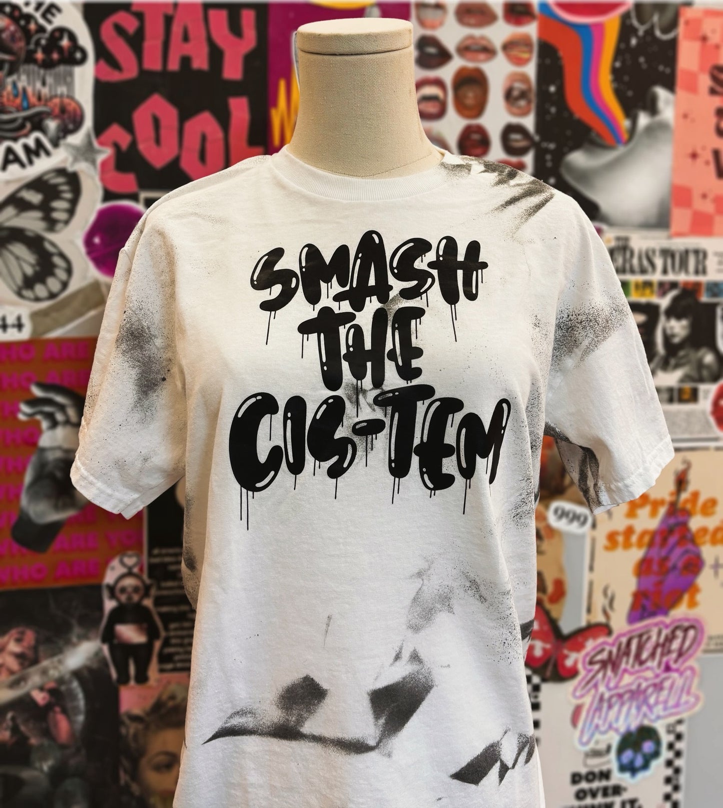 Smash the cis-tem unisex tshirt